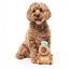 FuzzYard Happybaras Capy-Ccino Plush Dog Toy with Squeaker