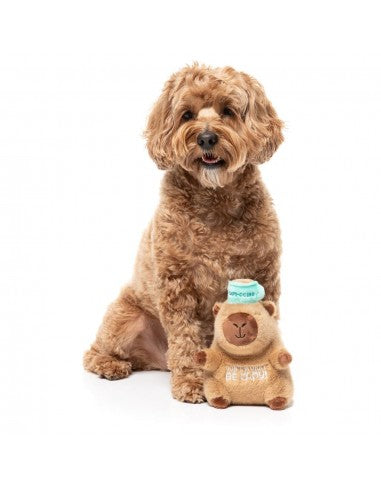 FuzzYard Happybaras Capy-Ccino Plush Dog Toy with Squeaker