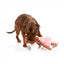 FuzzYard Lankies Billie The Bear-Larina Long-Limbed Plush Dog Toy