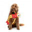 FuzzYard Lankies Lewis The Drift-Tah Long-Limbed Plush Dog Toy