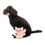 FuzzYard Love Cu-pig plush dog toy, cupid piglet