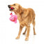 FuzzYard Love Tail Chaser Perfume plush dog toy, perfume bottle