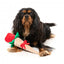 FuzzYard Love Wrapped Rose plush dog toy
