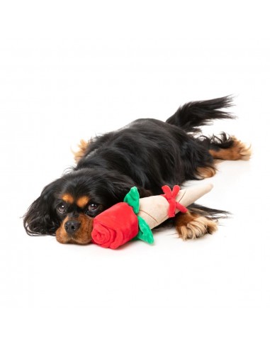 FuzzYard Love Wrapped Rose plush dog toy