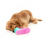 FuzzYard Fresh Kicks n' Licks 3-in-1 interactive dog toy