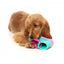 FuzzYard Fresh Kicks n' Licks 3-in-1 interactive dog toy
