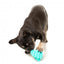 Treat-dispensing dog toy FuzzYard Knuckle Sandwich
