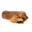 Interactive dog toy FuzzYard Mic Drop with rope and squeaker