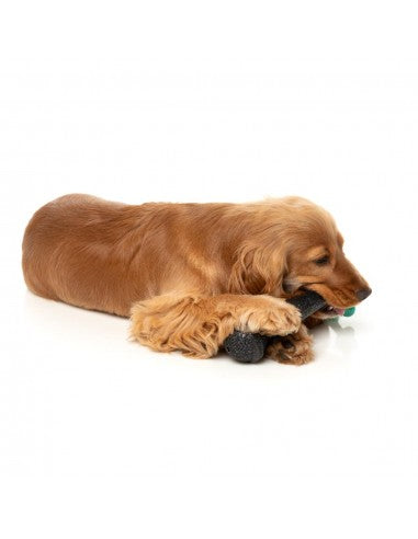 Interactive dog toy FuzzYard Mic Drop with rope and squeaker