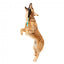 Interactive dog toy FuzzYard Mic Drop with rope and squeaker
