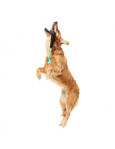 Interactive dog toy FuzzYard Mic Drop with rope and squeaker