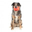 Freezable dog lick toy FuzzYard Piña Coolada Freeze