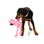 FuzzYard Nasties Flo with squeaker plush dog toy (size L)