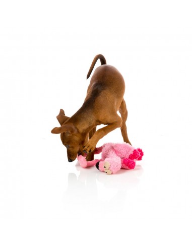 FuzzYard Nasties Flo with squeaker plush dog toy (size S)