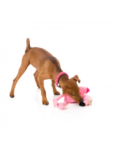 FuzzYard Nasties Flo with squeaker plush dog toy (size S)