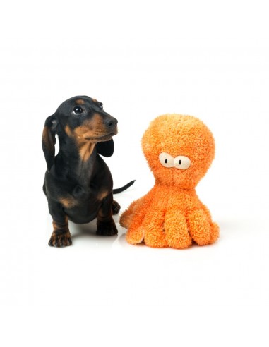 FuzzYard Nasties Sir Legs A Lot octopus plush dog toy (size L)