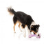 FuzzYard Neck Minnits Neckita Llama Plush Dog Toy with Stretchy Neck