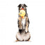 FuzzYard Noggins Hen Diesel Squeaky Plush Dog Toy