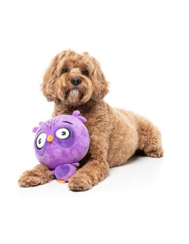 FuzzYard Noggins Hoo Dini Squeaky Plush Dog Toy