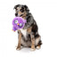 FuzzYard Noggins Hoo Dini Squeaky Plush Dog Toy