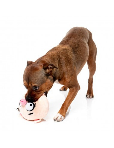 FuzzYard Noggins Snoop Hogg Squeaky Plush Dog Toy