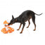 FuzzYard Octo-Pose Sailor Squiggles Octopus Squeaky Plush Dog Toy