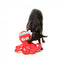FuzzYard Octo-Pose Takoyaki Octopus Squeaky Plush Dog Toy