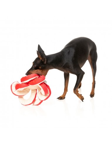 FuzzYard Octo-Pose Takoyaki Octopus Squeaky Plush Dog Toy