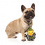 FuzzYard Commanduck Squeaky Plush Dog Toy
