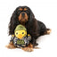 FuzzYard Commanduck Squeaky Plush Dog Toy