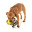 FuzzYard Commanduck Squeaky Plush Dog Toy