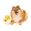 FuzzYard Cupid Duck Squeaky Plush Dog Toy