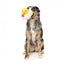 FuzzYard Cupid Duck Squeaky Plush Dog Toy