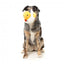 FuzzYard Cupid Duck Squeaky Plush Dog Toy