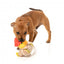 FuzzYard Firequacker duck plush dog toy with squeaker