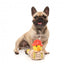 FuzzYard Firequacker duck plush dog toy with squeaker
