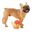 FuzzYard Firequacker duck plush dog toy with squeaker