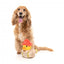FuzzYard Firequacker duck plush dog toy with squeaker