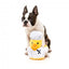 FuzzYard Gordon Quacksay duck plush dog toy with squeaker