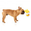 FuzzYard Gordon Quacksay duck plush dog toy with squeaker