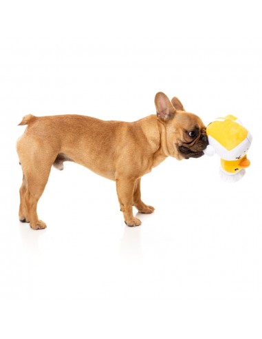 FuzzYard Gordon Quacksay duck plush dog toy with squeaker