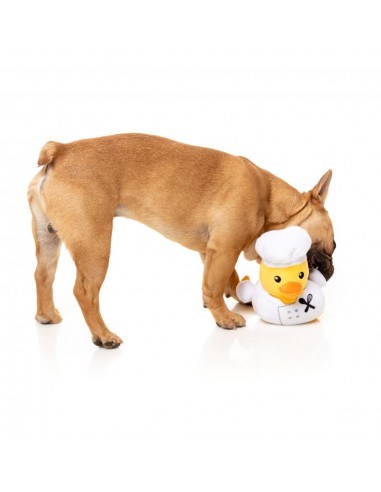 FuzzYard Gordon Quacksay duck plush dog toy with squeaker