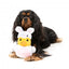 FuzzYard bunny duck plush dog toy with squeaker