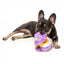 FuzzYard Sirius Quack duck plush dog toy (size S)