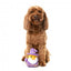 FuzzYard Sirius Quack duck plush dog toy (size S)