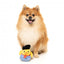 FuzzYard Timothee Chalaquack duck plush dog toy (size S)
