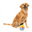 FuzzYard Timothee Chalaquack duck plush dog toy (size S)