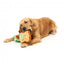 FuzzYard avocado and toast plush dog toys, pack of 2