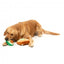 FuzzYard avocado and toast plush dog toys, pack of 2
