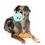 FuzzYard croissant and cappuccino plush dog toys, pack of 2